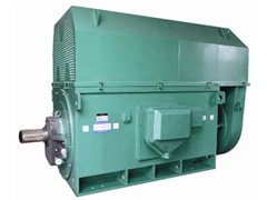 Y8006-4Y系列6KV高压电机
